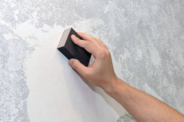 Best Commercial Mold Inspection  in New Market, AL