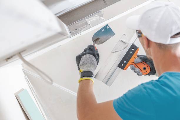 Best Emergency Mold Remediation  in New Market, AL